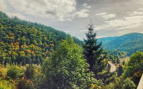 Green View Apartment Sinaia